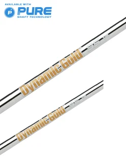 True Temper Dynamic Gold 95 .370 Shaft engineered by True Spec Golf